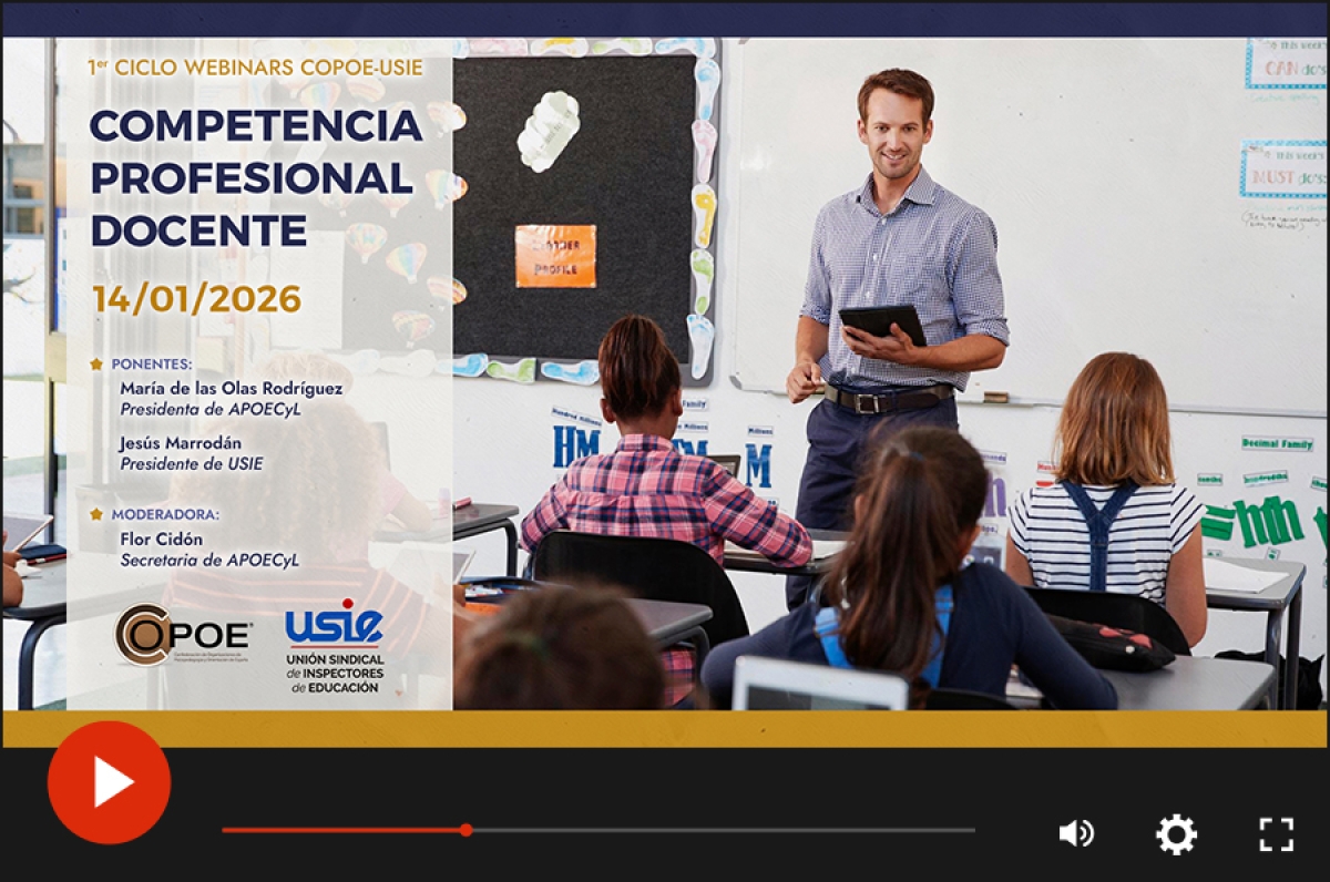 COPOE-USIE webinarraren bideoa "Irakaskuntzako gaitasun profesionala"