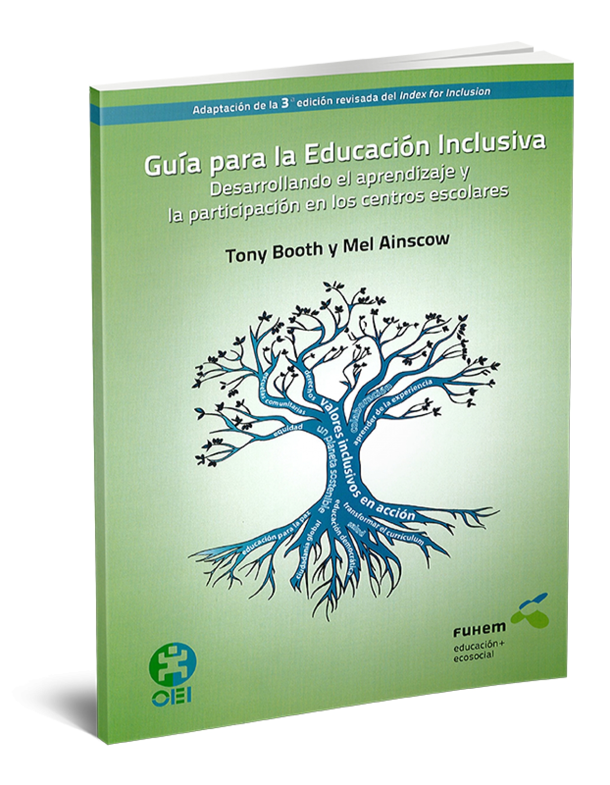 Guía para la Educación Inclusiva: Desarrollando el aprendizaje y la participación en los centros escolares