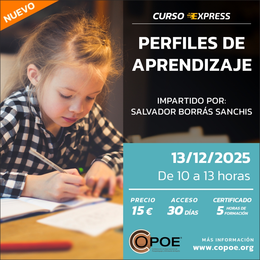 Curso online exprés de COPOE: &quot;Perfiles de Aprendizaje&quot;, clase online el 13 de diciembre